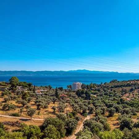 Theta Living Project Amarynthos