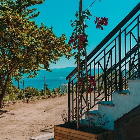 Theta Living Project Amarynthos
