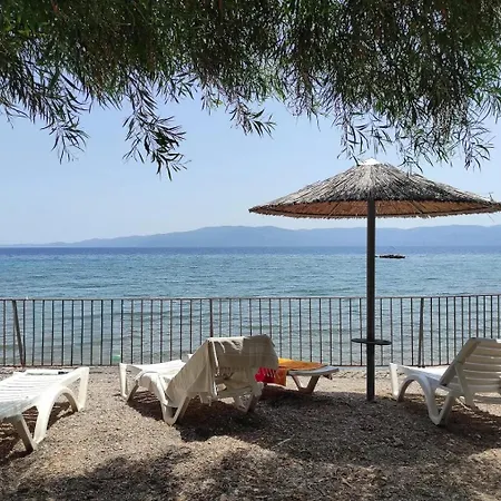 Theta Living Project Apartment Amarynthos